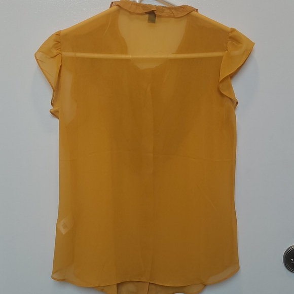 Banana Republic sheer top - Picture 5 of 8